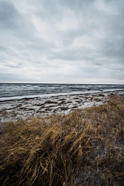 Billede 33 af Strandmotellet