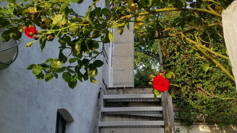 Billede 34 af Ferie Lejligheden Landlyst