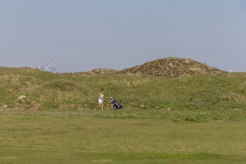 Billede 7 af Hotel Fanø