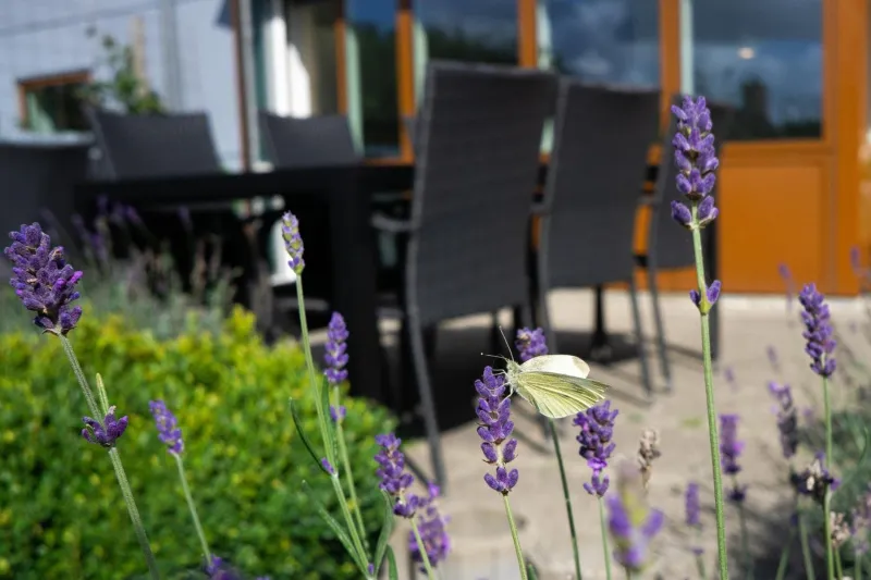 Billede 63 af Feriehus Thy - I hjertet af Thy