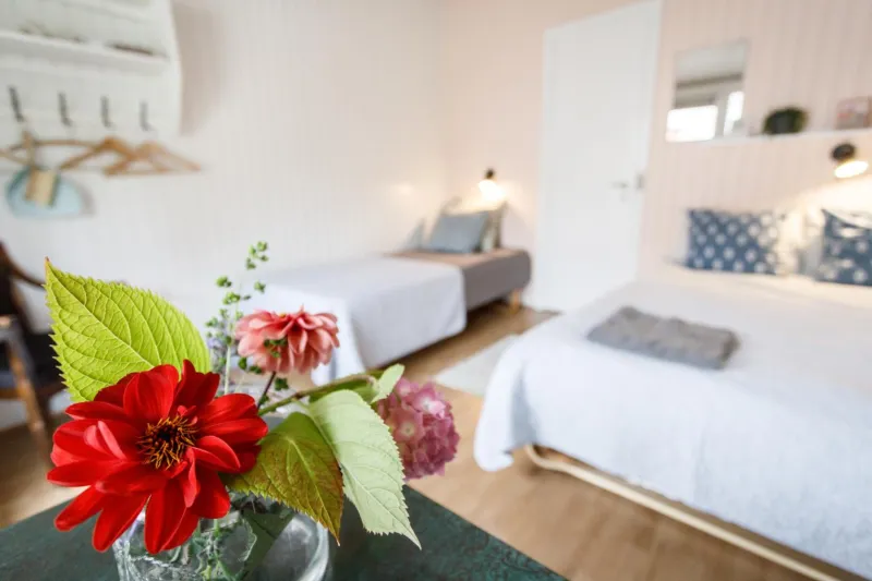 Billede 36 af Danhostel Stevns Klint