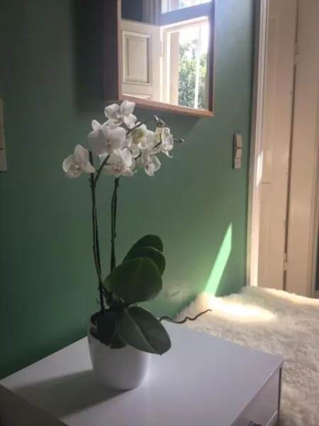 Rotzowlund BnB photo 29