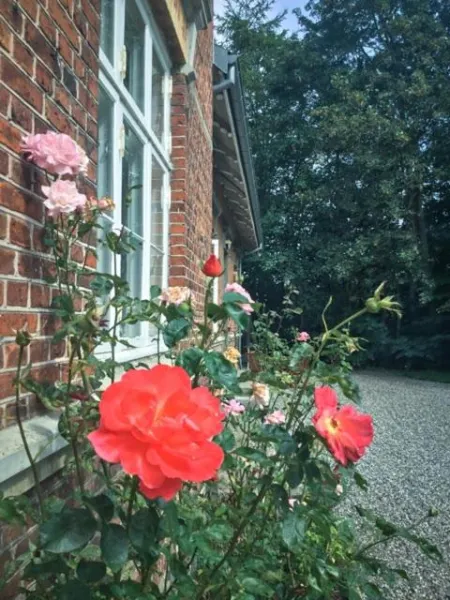 Rotzowlund BnB photo 32
