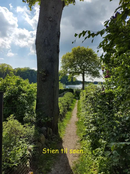 Billede 6 af Gæstehus Sorø Sø