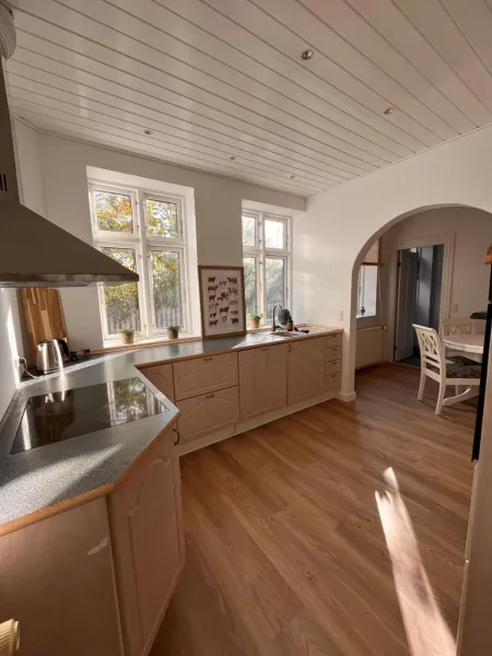 Jonas Hus - Munkgaard photo 29
