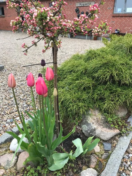 Nygaard B&B photo 6