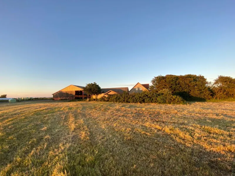 Nygaard B&B photo 18