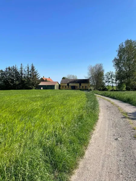 Billede 29 af Homestay in charming house on the countryside