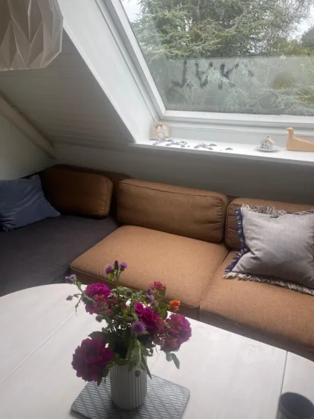 BlackberryHouse photo 6