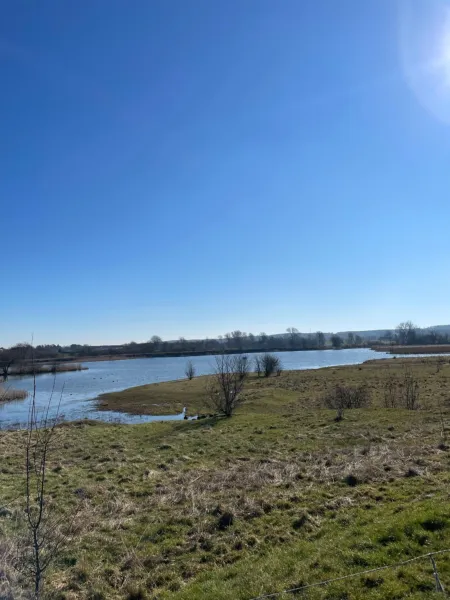 Billede 6 af Feriehus i skøn natur
