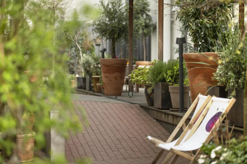 Billede 28 af Hotel Mayfair