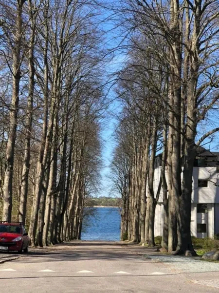 Villa Wiegand - a room with a view photo 113