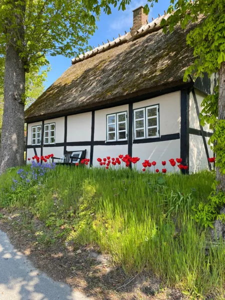 Billede 1 af Sofie's Hus - Munkgaard