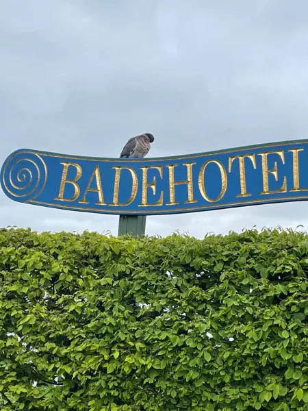 Billede 21 af Badehotel Harmonien
