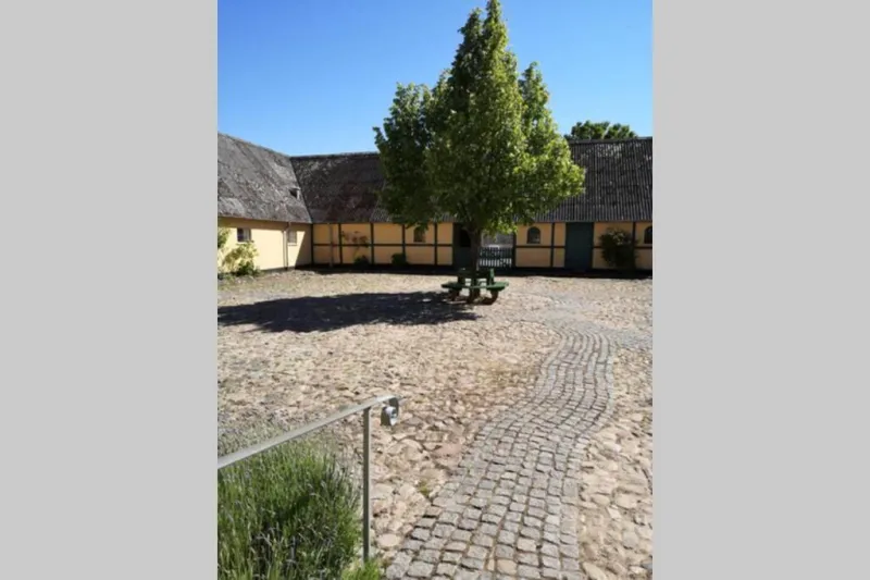Foxhouse photo 12