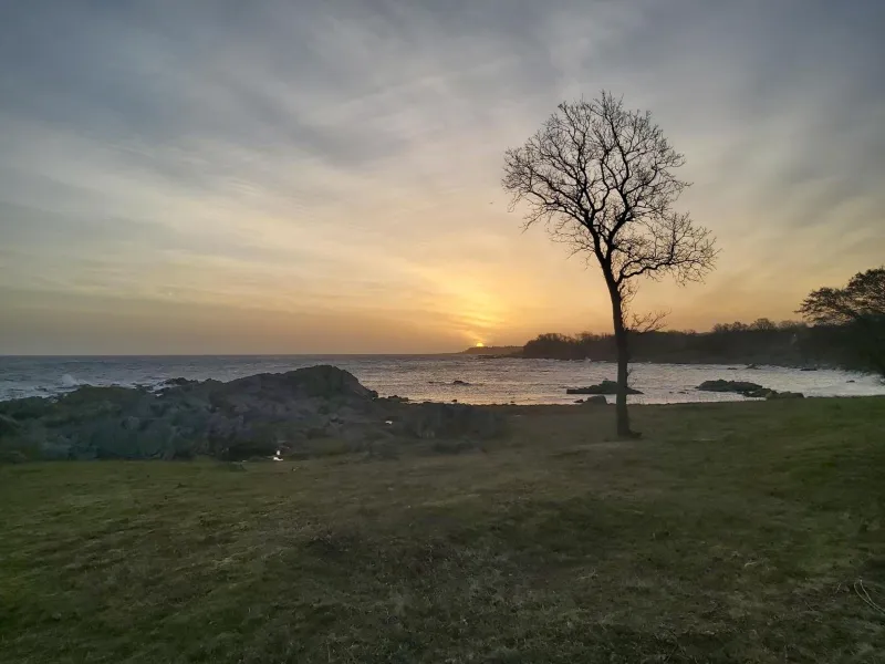 Bølshavnvej5 Bed & Breakfast photo 14