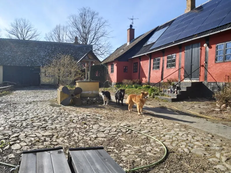 Bølshavnvej5 Bed & Breakfast photo 15
