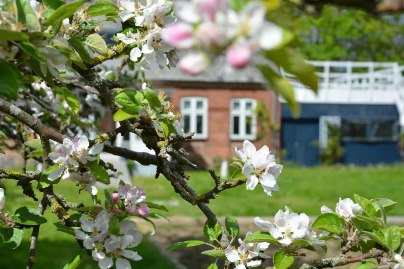 KirkeLy Bed and Breakfast photo 5