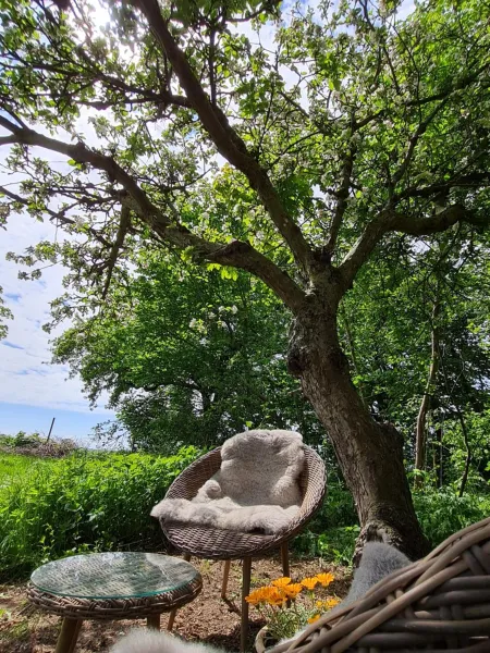 KirkeLy Bed and Breakfast photo 11