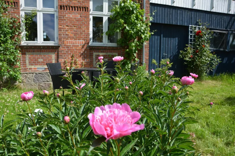 KirkeLy Bed and Breakfast photo 34
