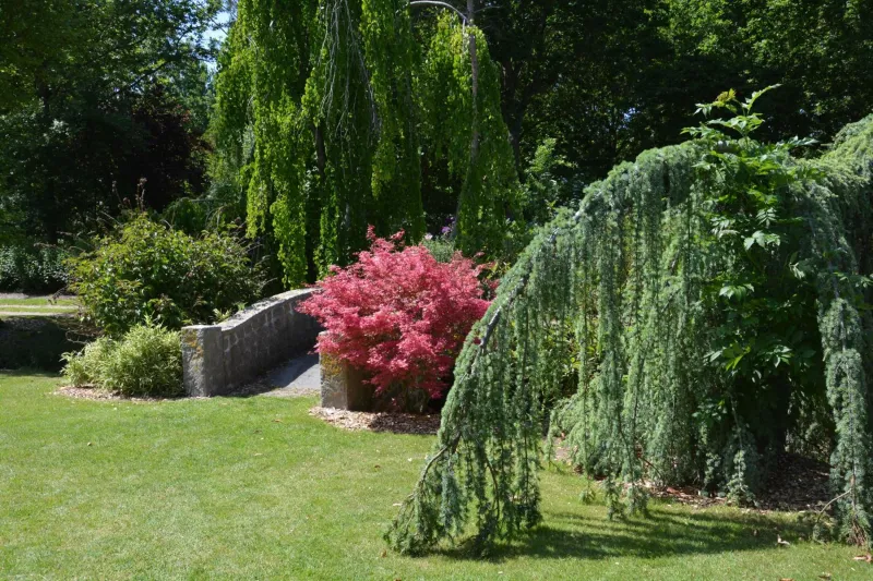 KirkeLy Bed and Breakfast photo 52