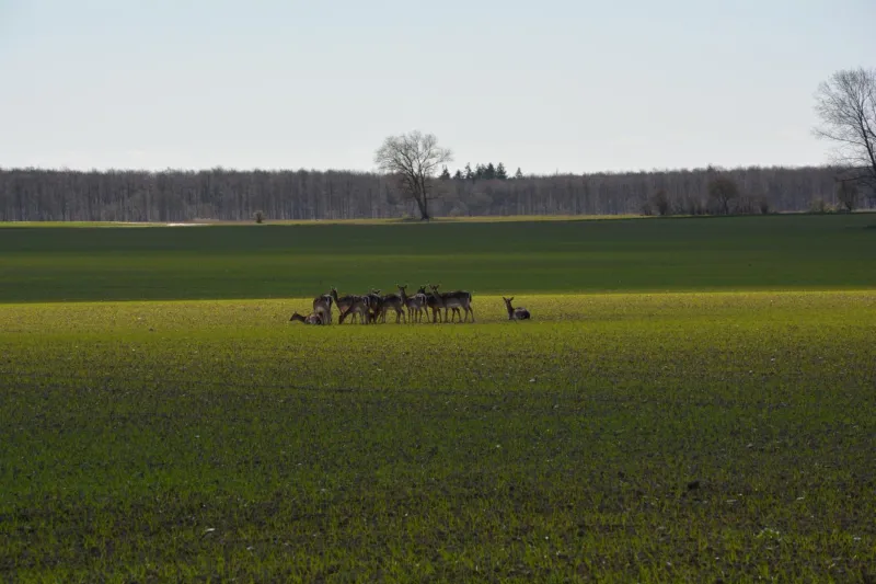 KirkeLy Bed and Breakfast photo 64