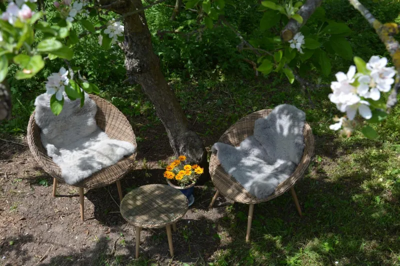KirkeLy Bed and Breakfast photo 69