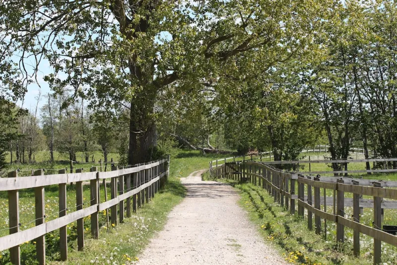 Kildegården photo 41
