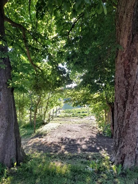 Topagergaard photo 19
