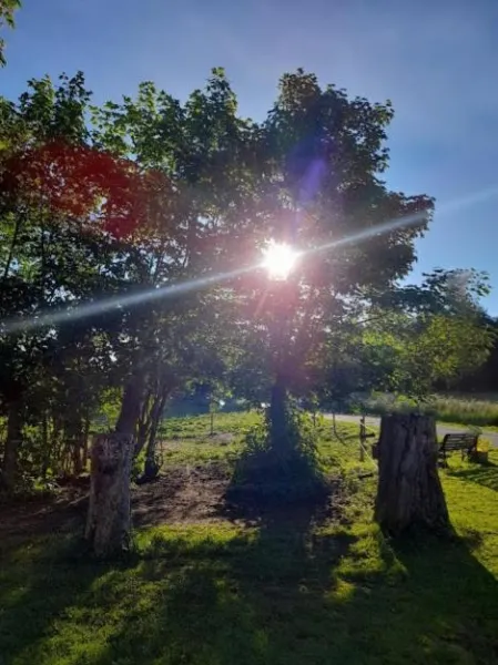 Topagergaard photo 33