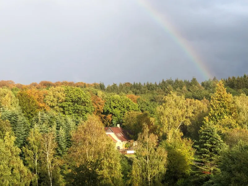 Borgdal photo 21