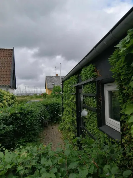 Minihus til havn, strand, vand og by i Gilleleje photo 14