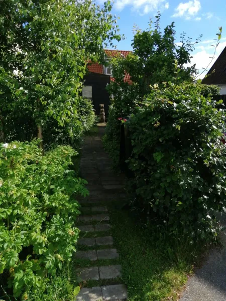 Minihus til havn, strand, vand og by i Gilleleje photo 19