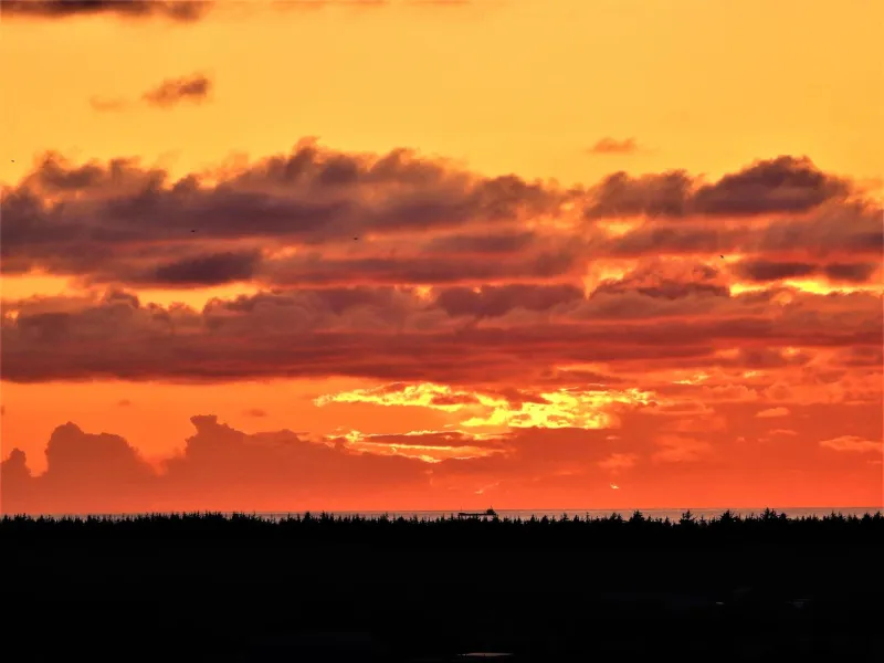 Engbjerg BnB photo 23