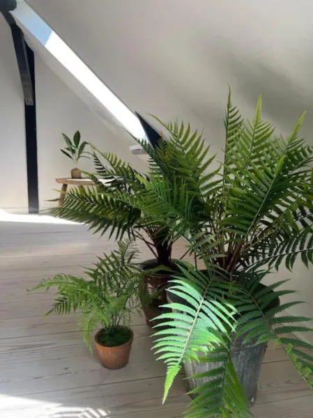 Penthouselejlighed midt i Vejle photo 3