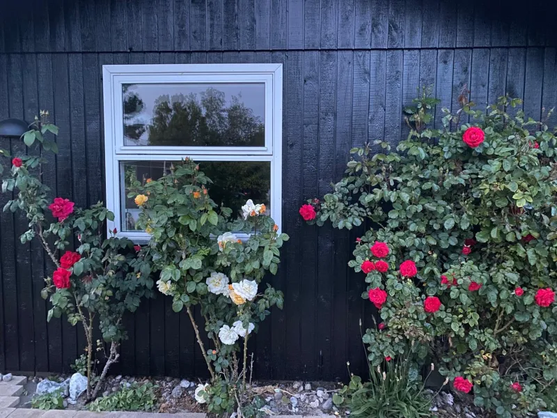 NyHus, Dragsmur, Mols photo 2