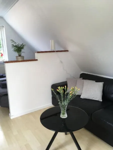 Ro i skoven - men tæt på byen photo 5