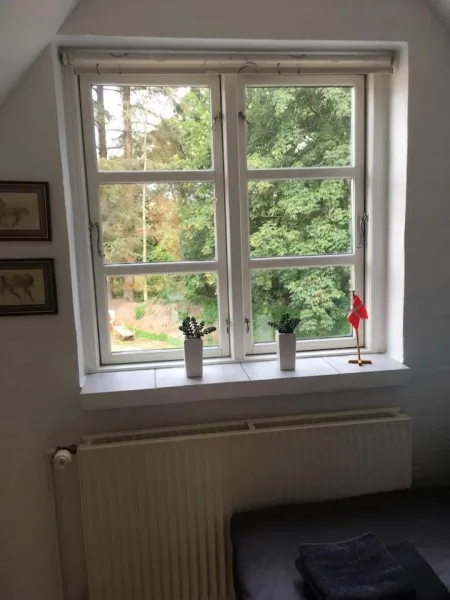 Ro i skoven - men tæt på byen photo 10
