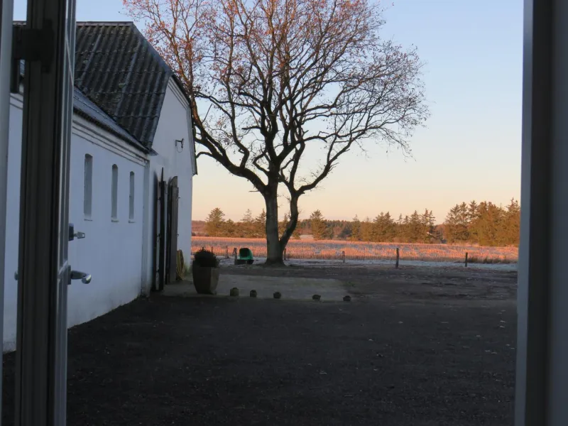 Bøgelund Sleep-in photo 5