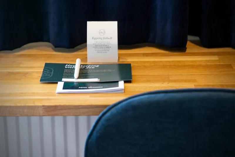 Billede 33 af Hotel Britannia