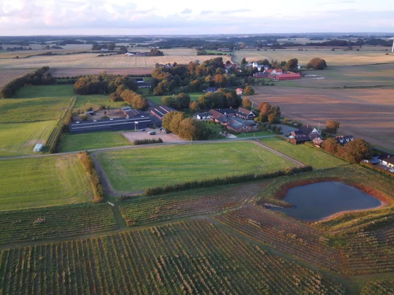 Thommysminde photo 69