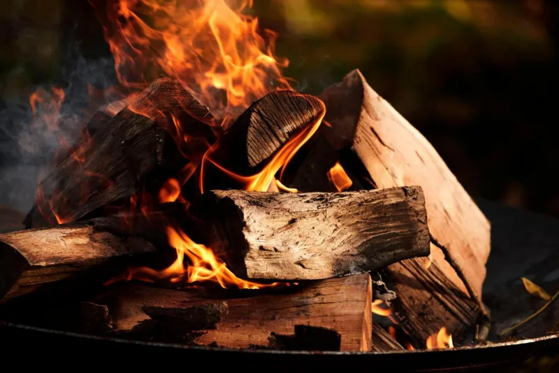 Billede 2 af Comwell Borupgaard