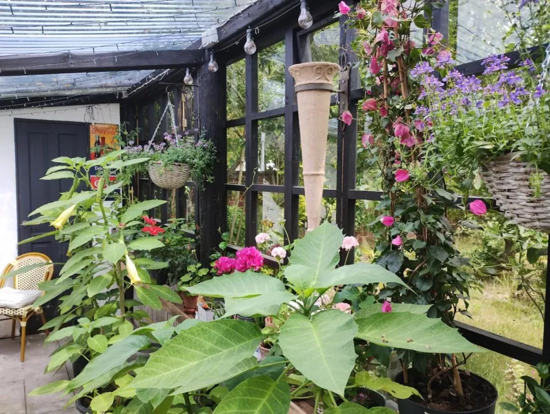 Ezzo guest house photo 14