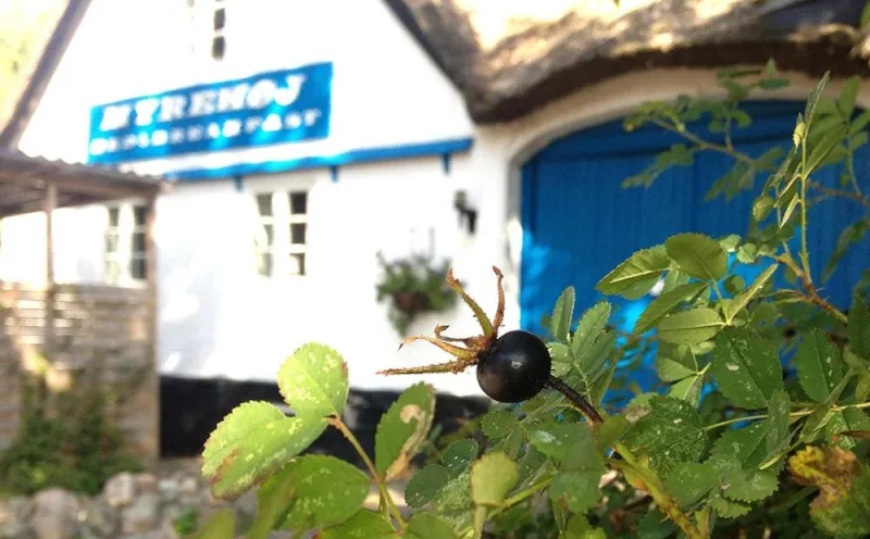 Myrehøj Bed & Breakfast photo 2