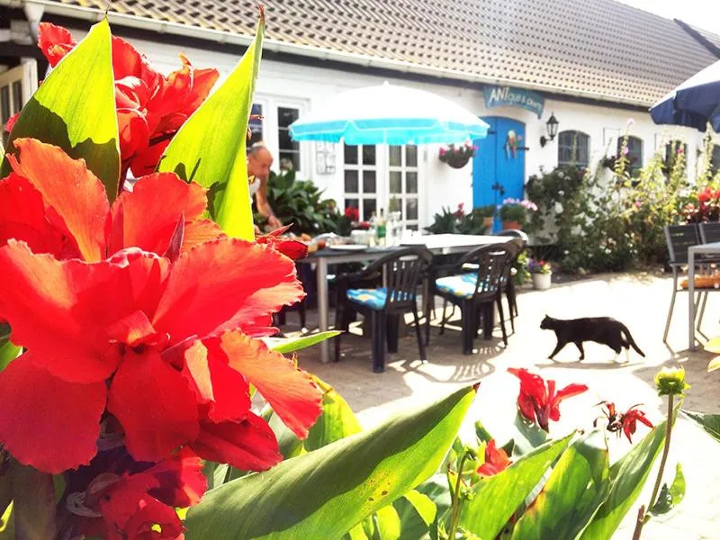 Myrehøj Bed & Breakfast photo 34