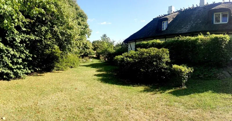 Myrehøj Bed & Breakfast photo 50