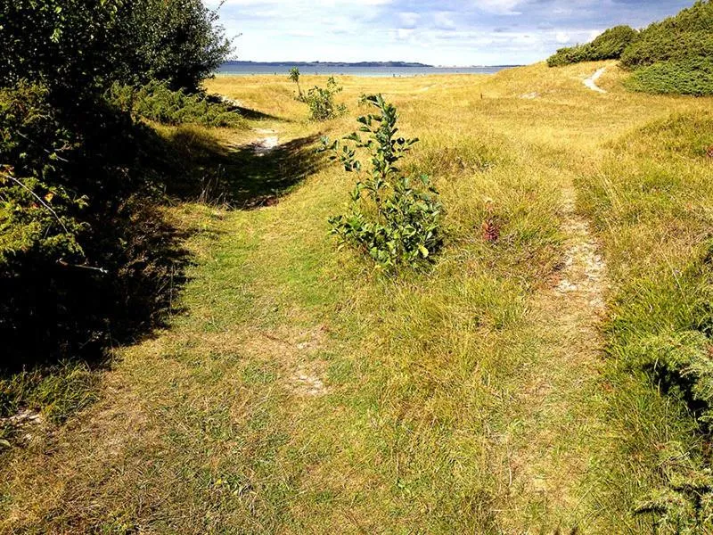 Myrehøj Bed & Breakfast photo 52