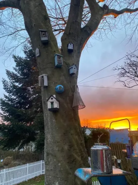 En SMUK og CHARMERENDE OASE meget tæt på centrum! photo 9