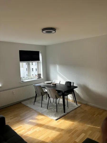 Billede 1 af Central Apartment Aalborg C - Sorin