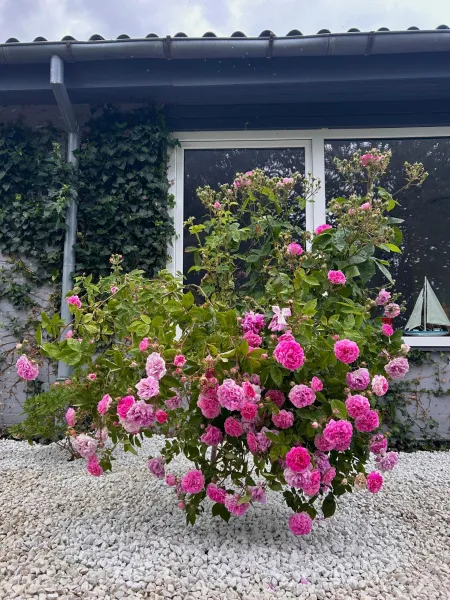 Apartamenty Molle photo 109